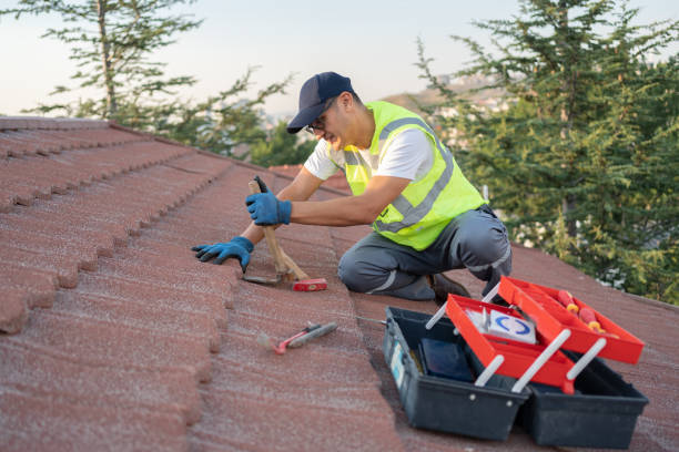 Professional Roofing Contractor in Bayou Vista, TX